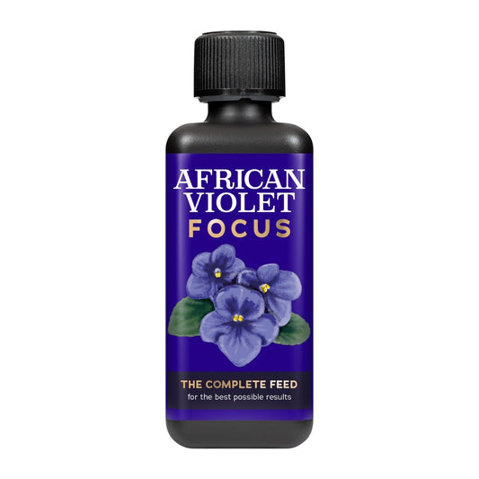 African Violet Focus Plant Food | Fertilizers