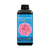 Ericaceous Focus  - Plant Food