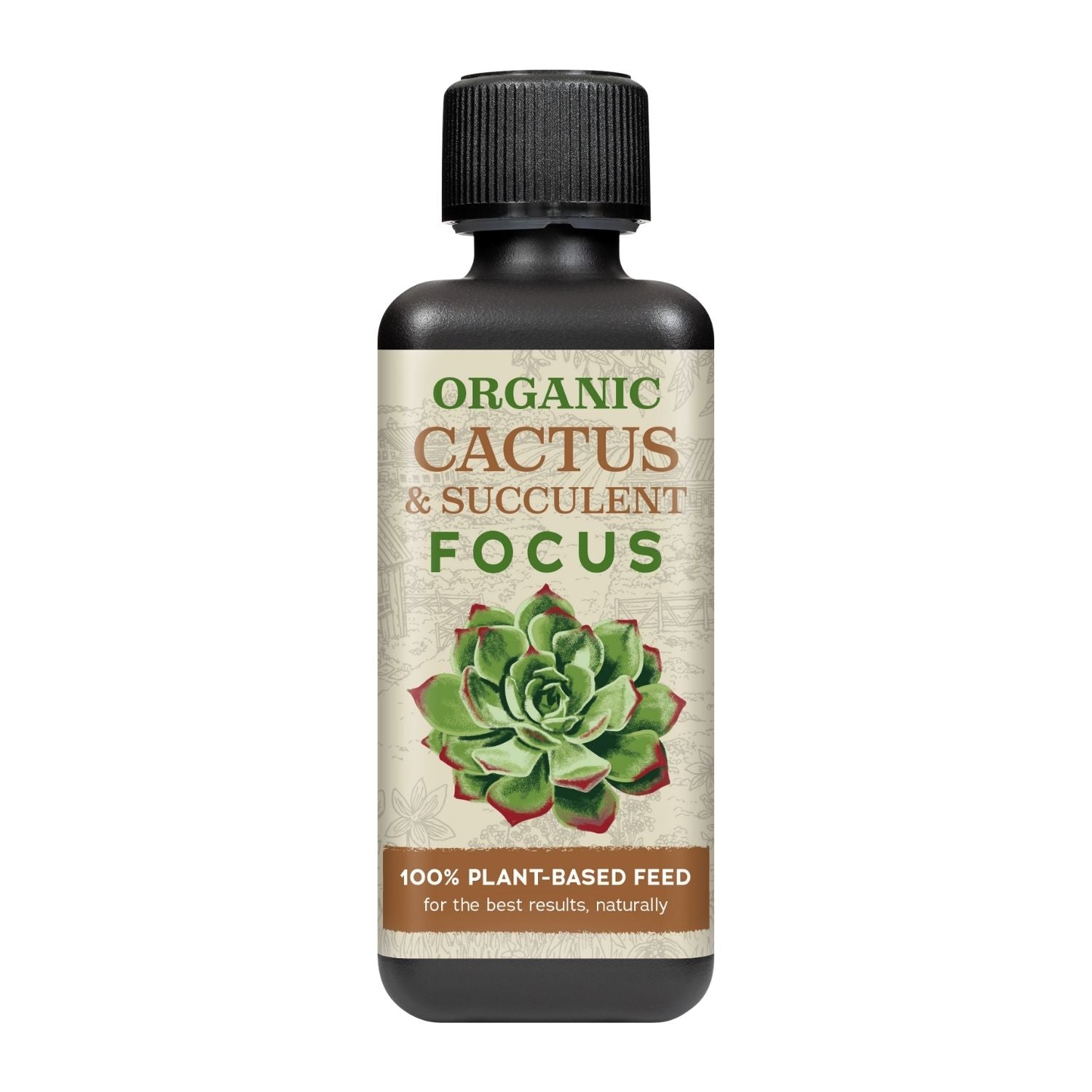 Organic Cactus & Succulent Focus  - Plant Food