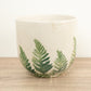 Imperfect! Veneto Fern Pot | White