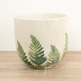 Veneto Fern Pot | White, 12 cm