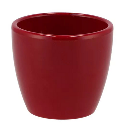 Gloss Ceramic Pot | Red Wine
