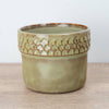 A captivating Zellige Ceramic Olive Plant Pot - admired for their tactile divot arch rims and minimalist style.