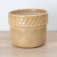 A captivating Zellige Ceramic Terracotta Plant Pot - admired for their tactile divot arch rims and minimalist style.