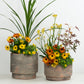 Architectural Colour | Garden Bundle