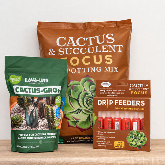 Ultimate Cacti & Succulent Care Bundle | Compost