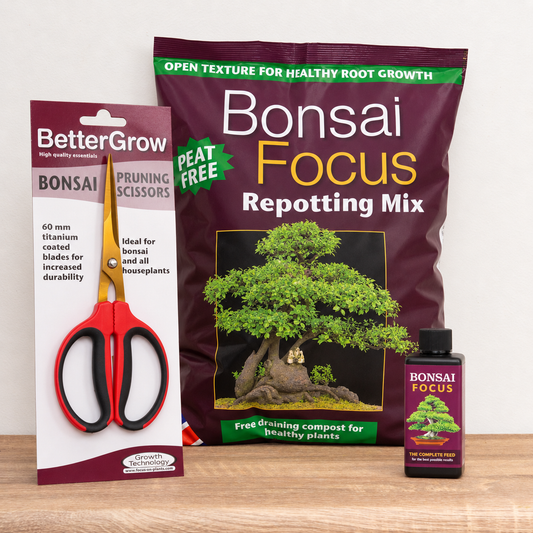 Bonsai Master Care Bundle | Compost