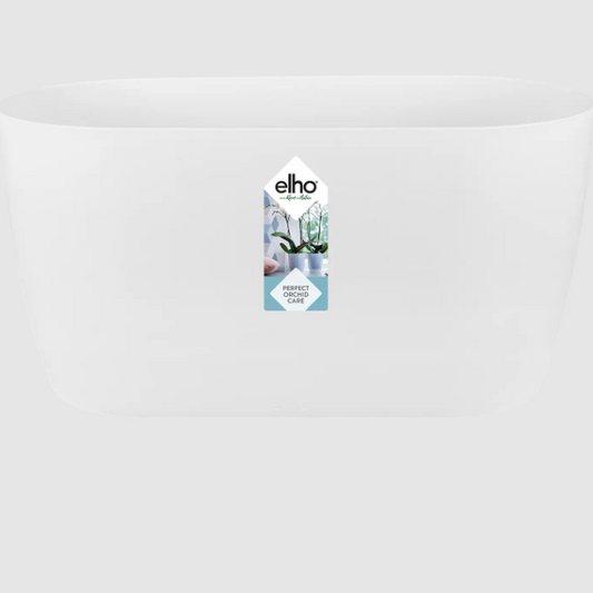 Brussels Duo Orchid Pot | Transparent | Pots & Planters