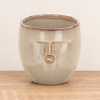 Plant Pot | Expressions