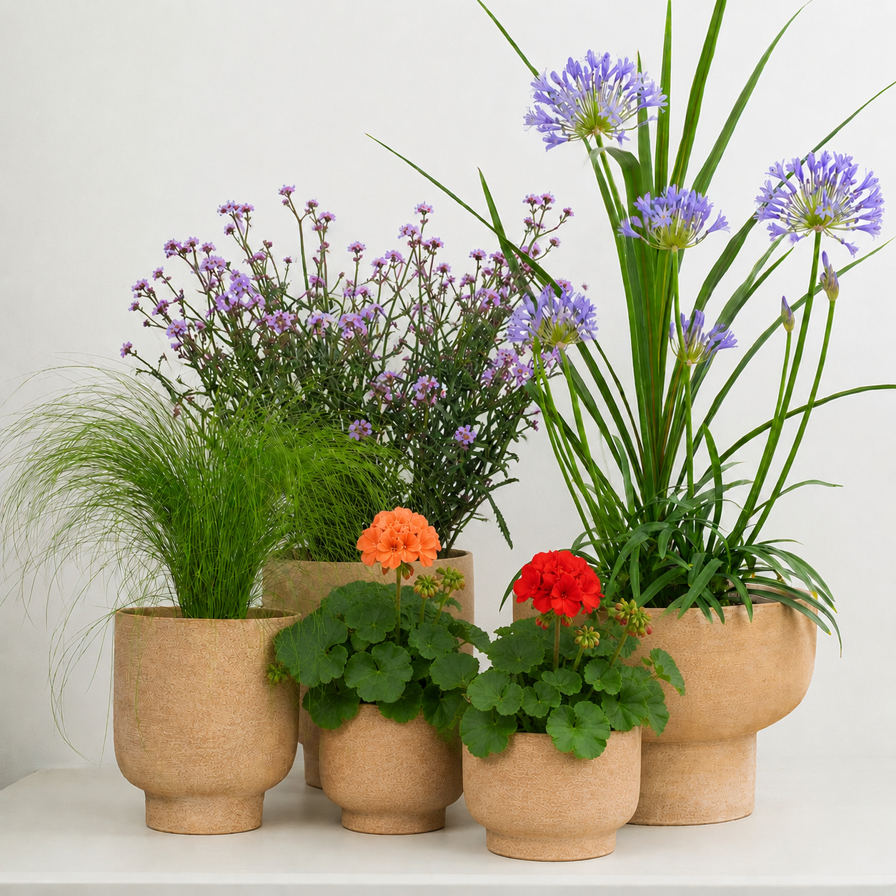 Modern Architectural  | Garden Bundle