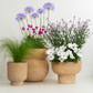Seabreeze | Garden Bundle
