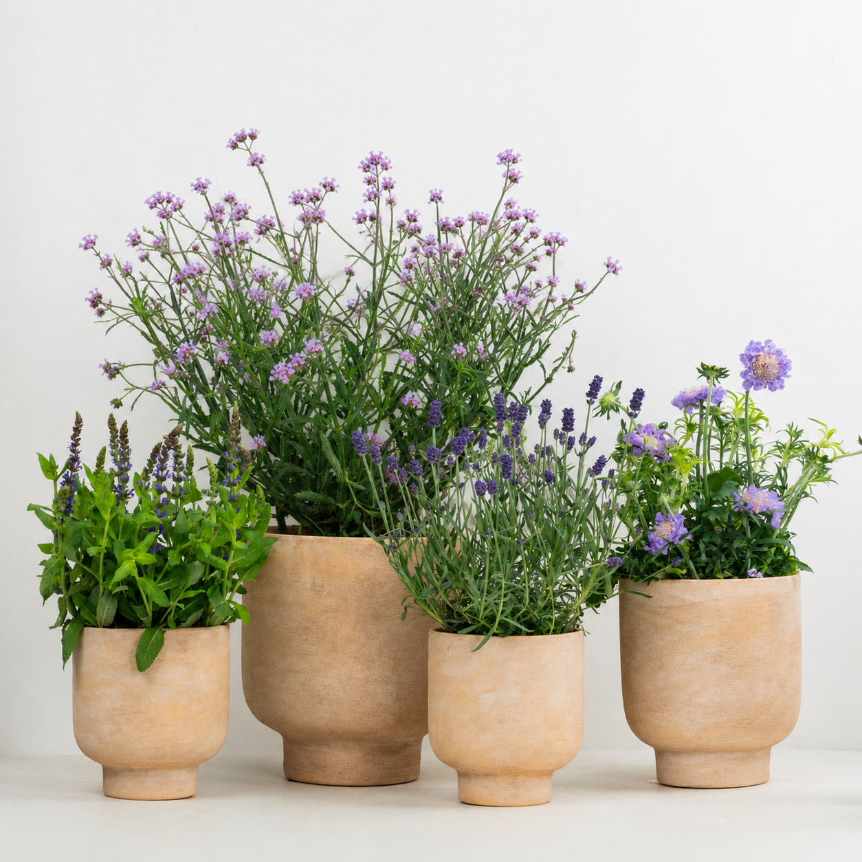 Bee Friendly | Garden Bundle