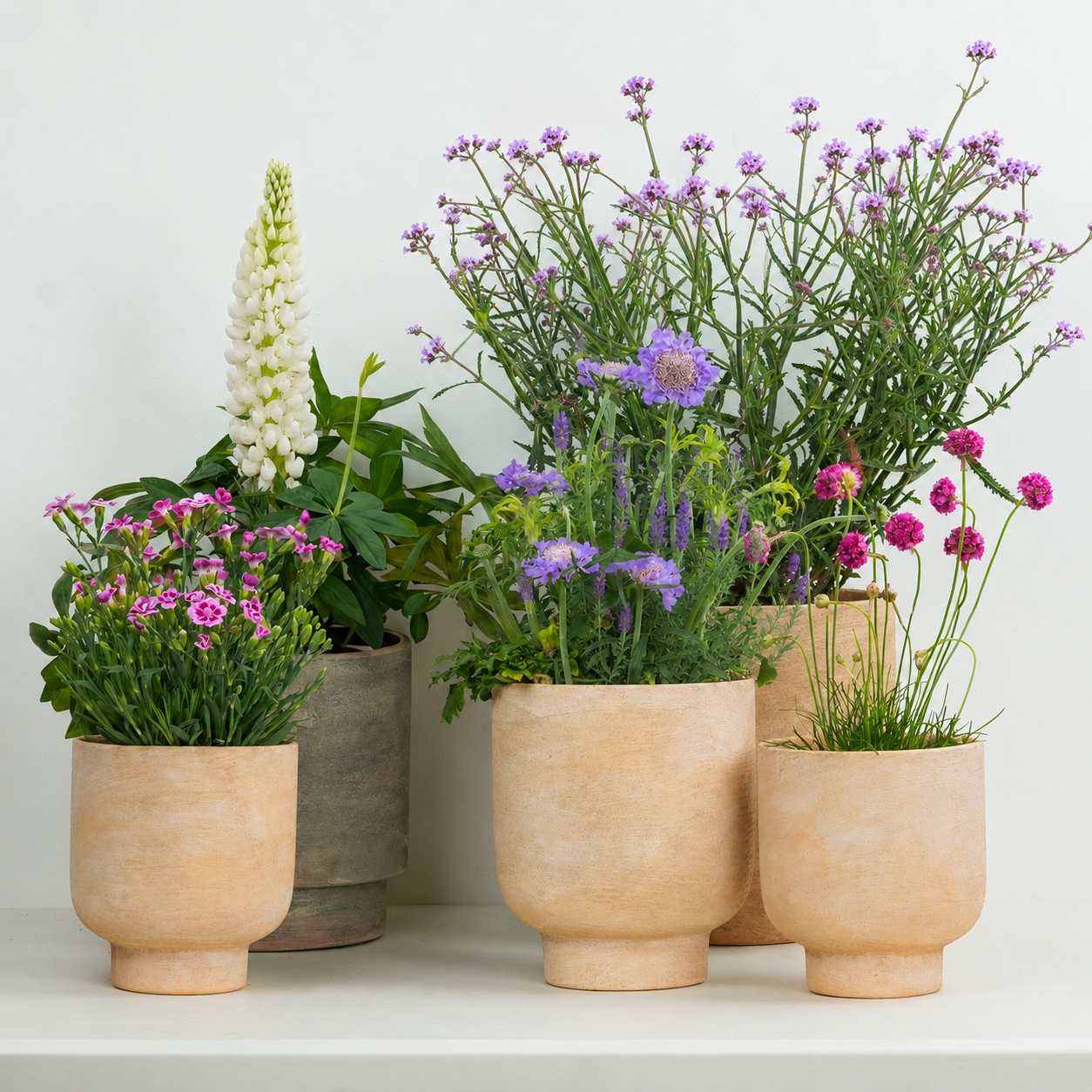 Cottage Garden  | Garden Bundle