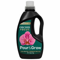 Orchid Focus Pour & Grow