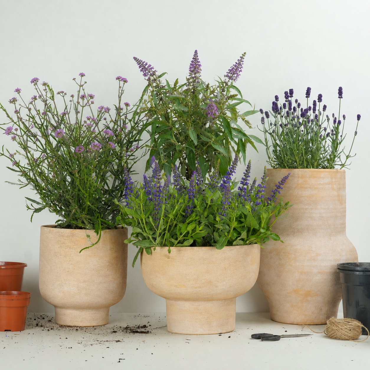 Pollinator Paradise  | Garden Bundle