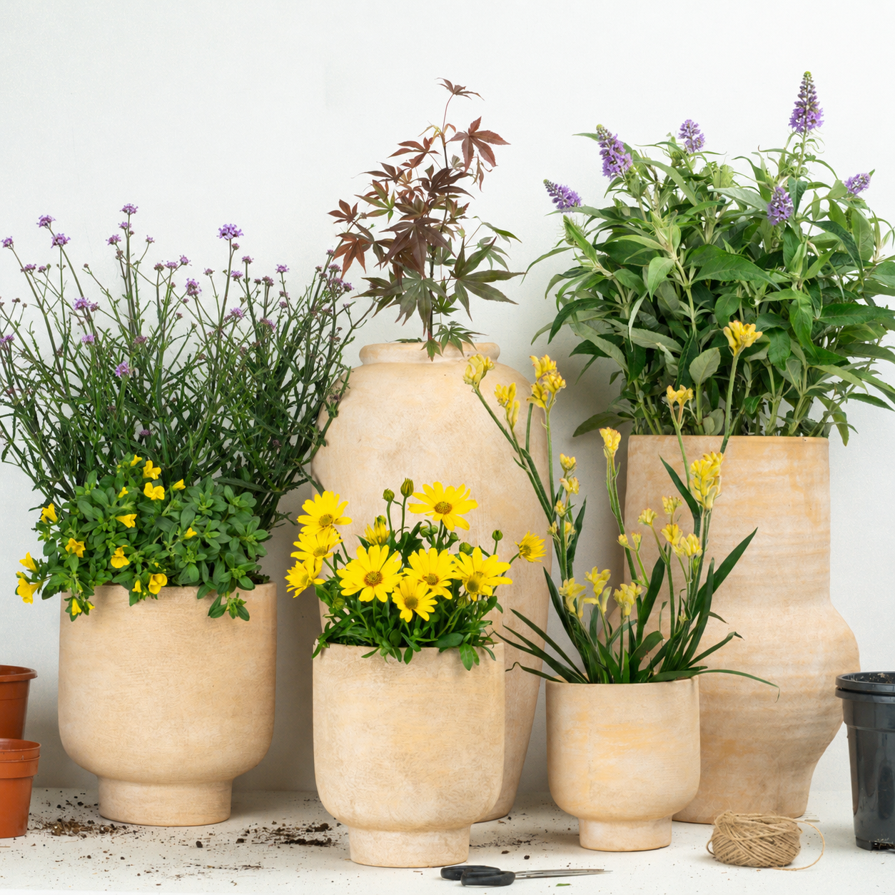 Sunset | Garden Bundle