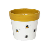 Bumble Bee Plant Pot - Ceramic Plant Pot