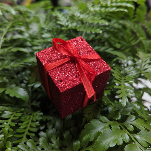 Red Gift Box - Decorative Plant Pot Accessory | Gardening Accessories