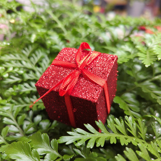 Red Gift Box - Decorative Plant Pot Accessory | Gardening Accessories