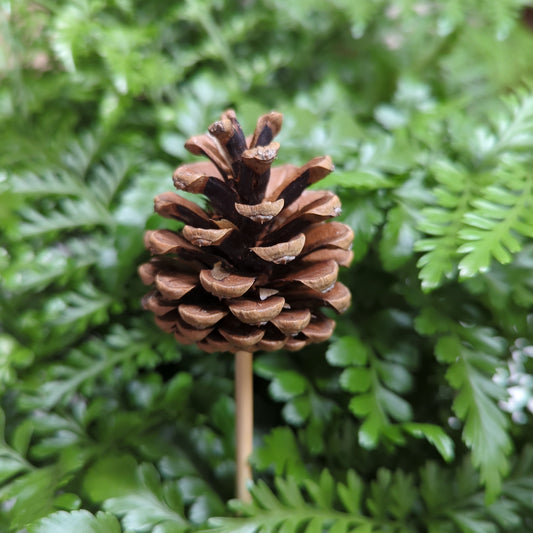 Pinecone - Decorative Plant Pot Accessory