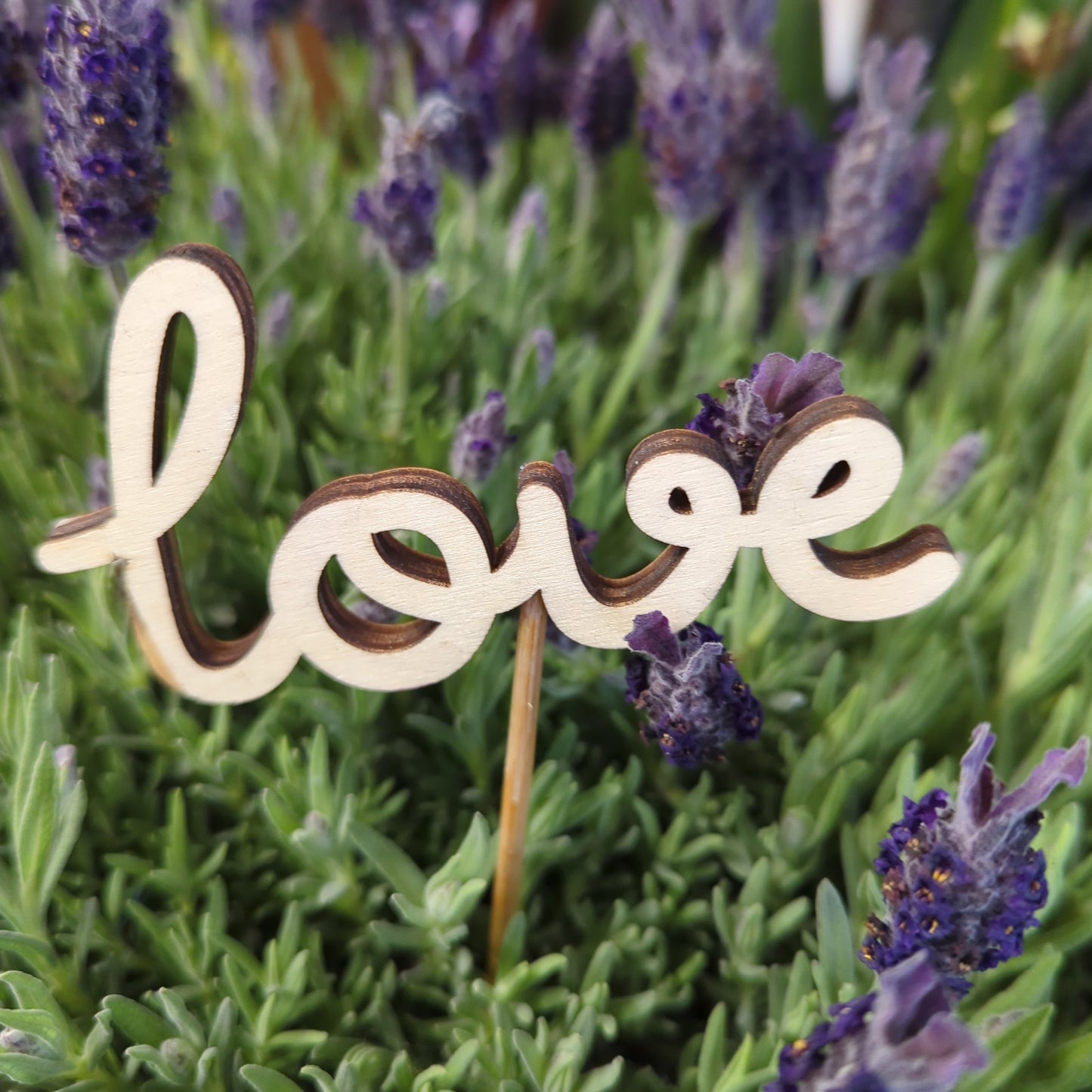 Script Love | Decorative Plant Pot Accessory