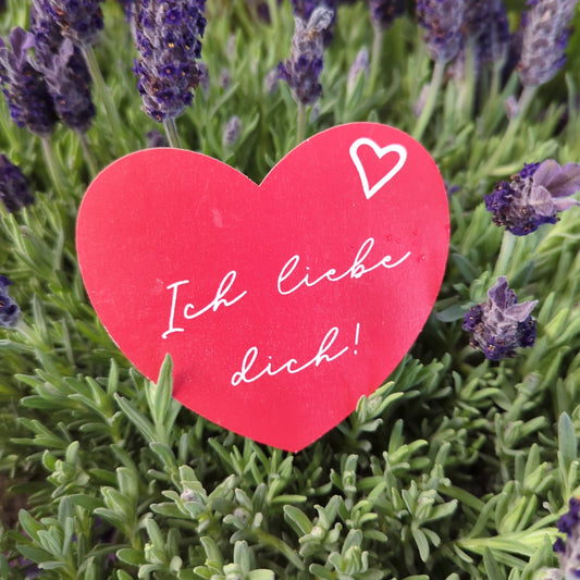Ich Liebe Dich! Heart | Decorative Plant Pot Accessory | Gardening Accessories