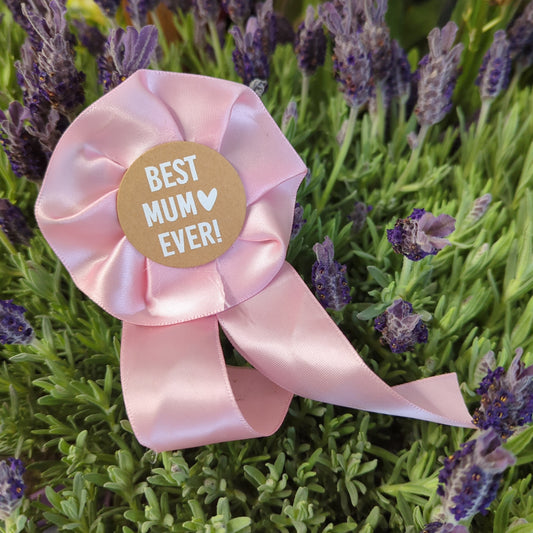 Best Mum Ever! Medal | Decorative Plant Pot Accessory | Gardening Accessories