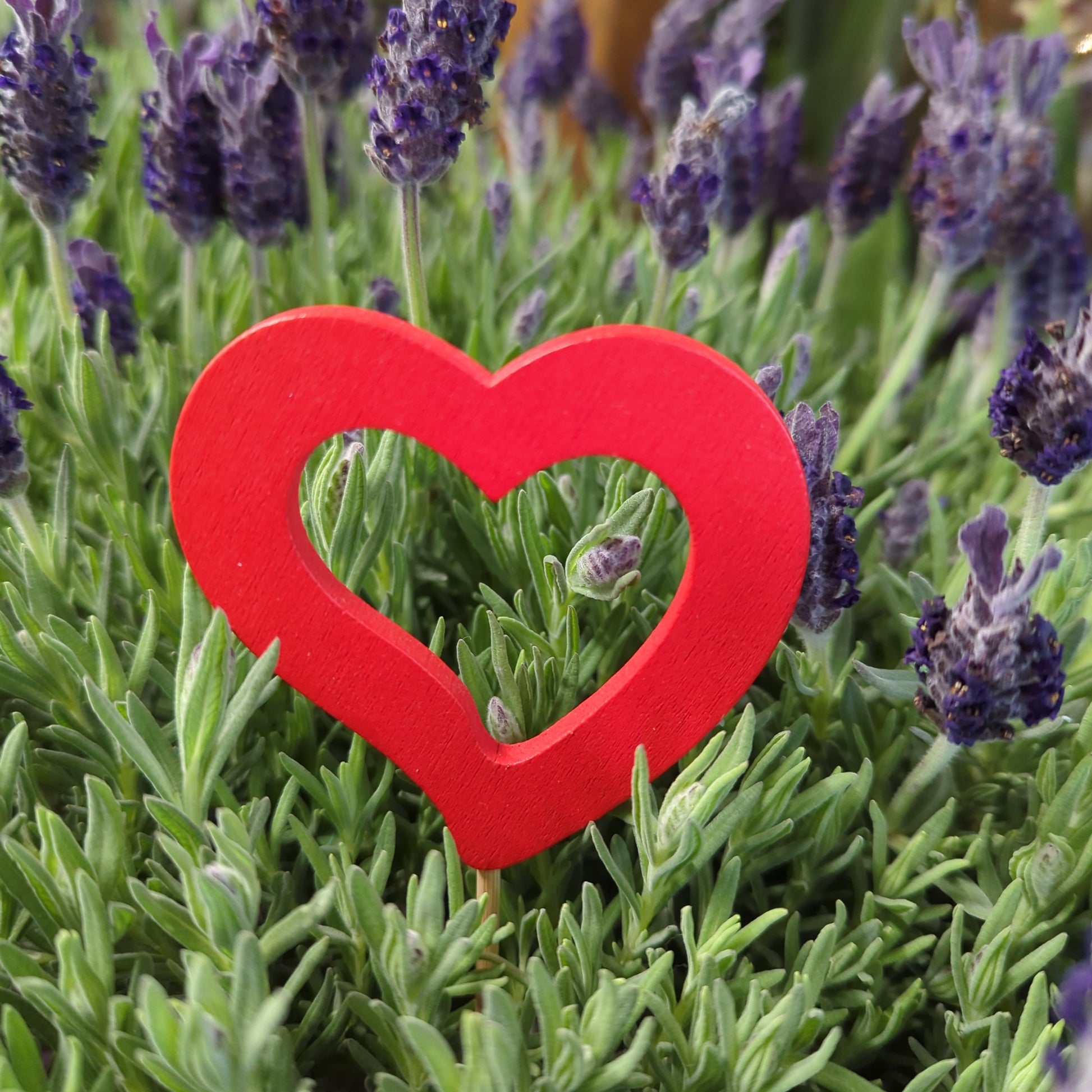Red Open Heart | Decorative Plant Pot Accessory