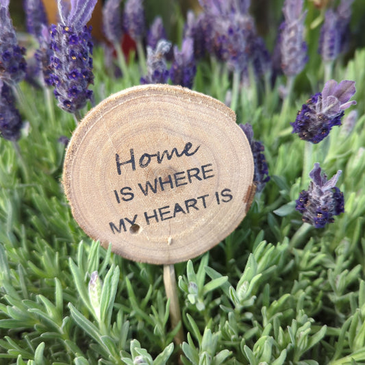Home Is Where My Heart Is | Decorative Plant Pot Accessory | Gardening Accessories