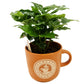 Coffee Mug | Arabica