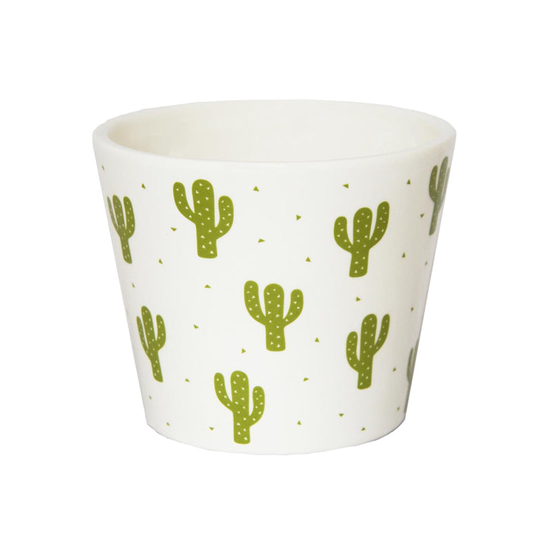 Desert Cacti Plant Pot - Ceramic Plant Pot