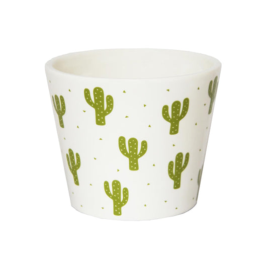Desert Cacti Plant Pot | Pots & Planters