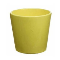 Zingy Lemon Plant Pot - Ceramic Plant Pot