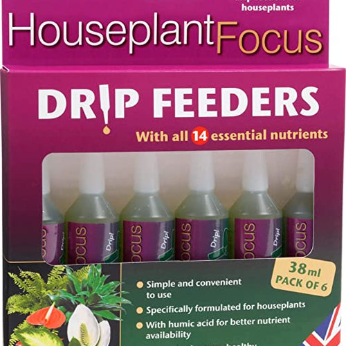 House Plant Focus Drip Feeders