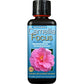 Camellia, Azalea & Rhododendron Focus  - Plant Food