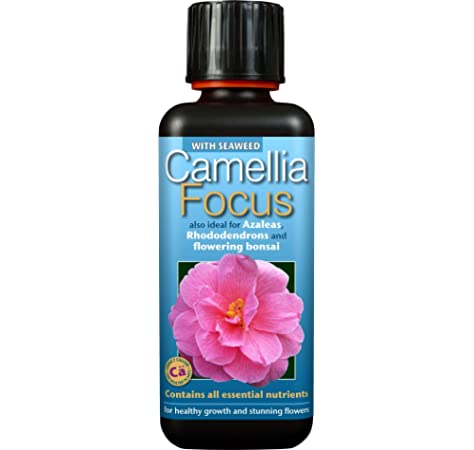 Camellia, Azalea & Rhododendron Focus 300ml  - Plant Food