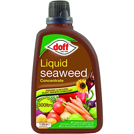 Doff Liquid Seaweed Concentrate Plant Food 1L