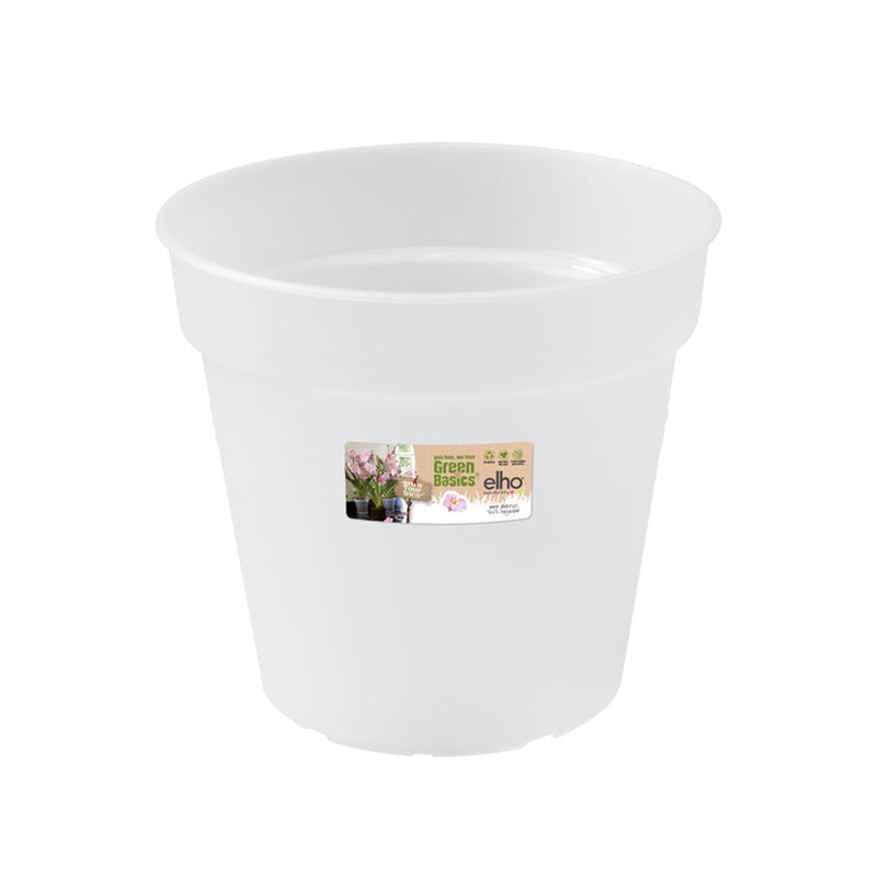 Orchid Pot | Transparent