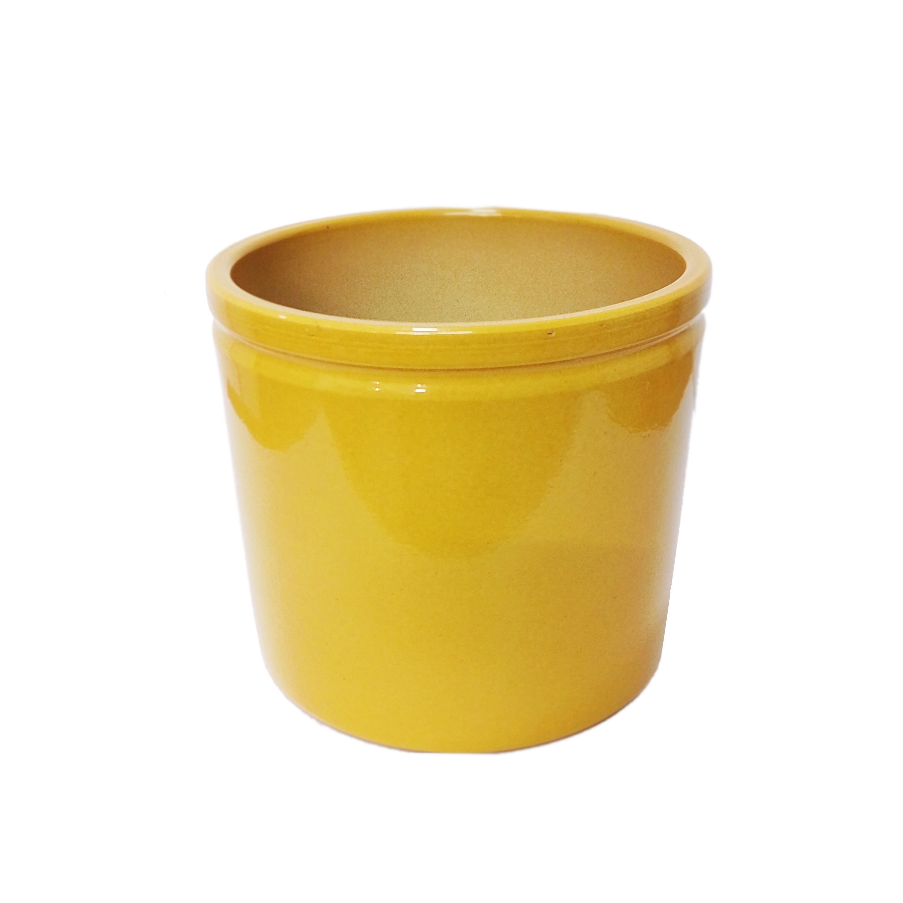 Lex Gloss Mustard Rim Pot - Ceramic Plant Pot