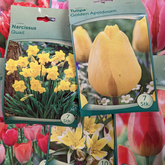 Spring Bulbs | Assorted