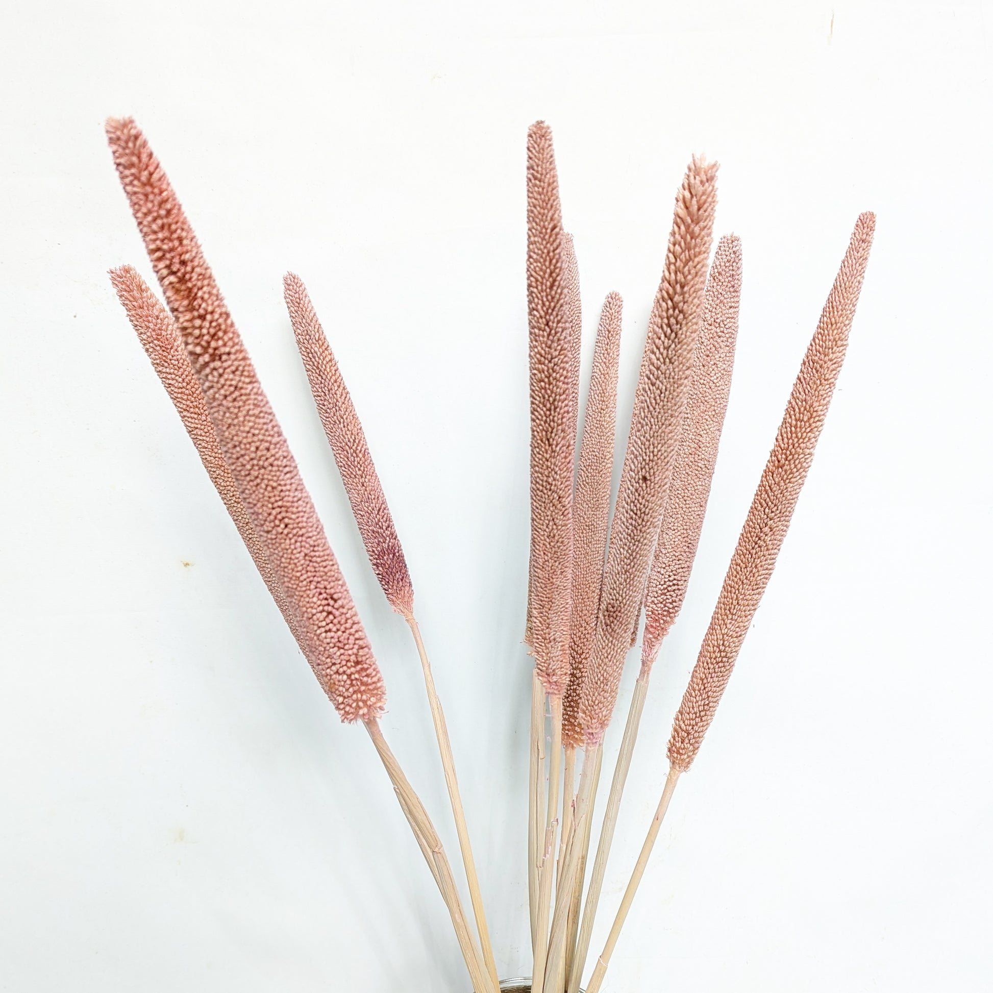Babala Bouquet | Blush