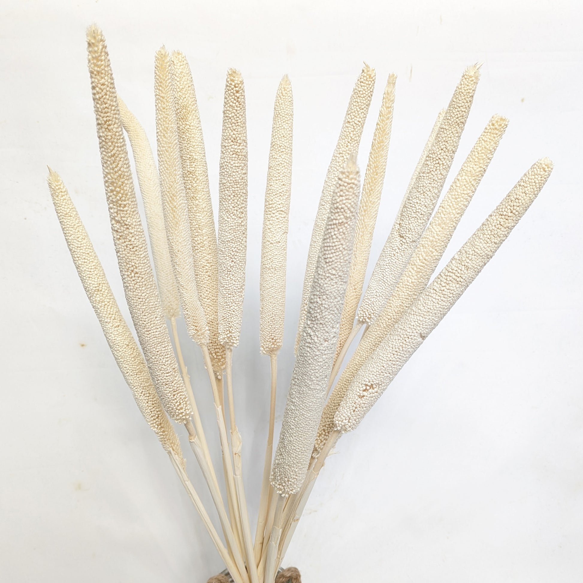 Babala Bouquet | Ivory