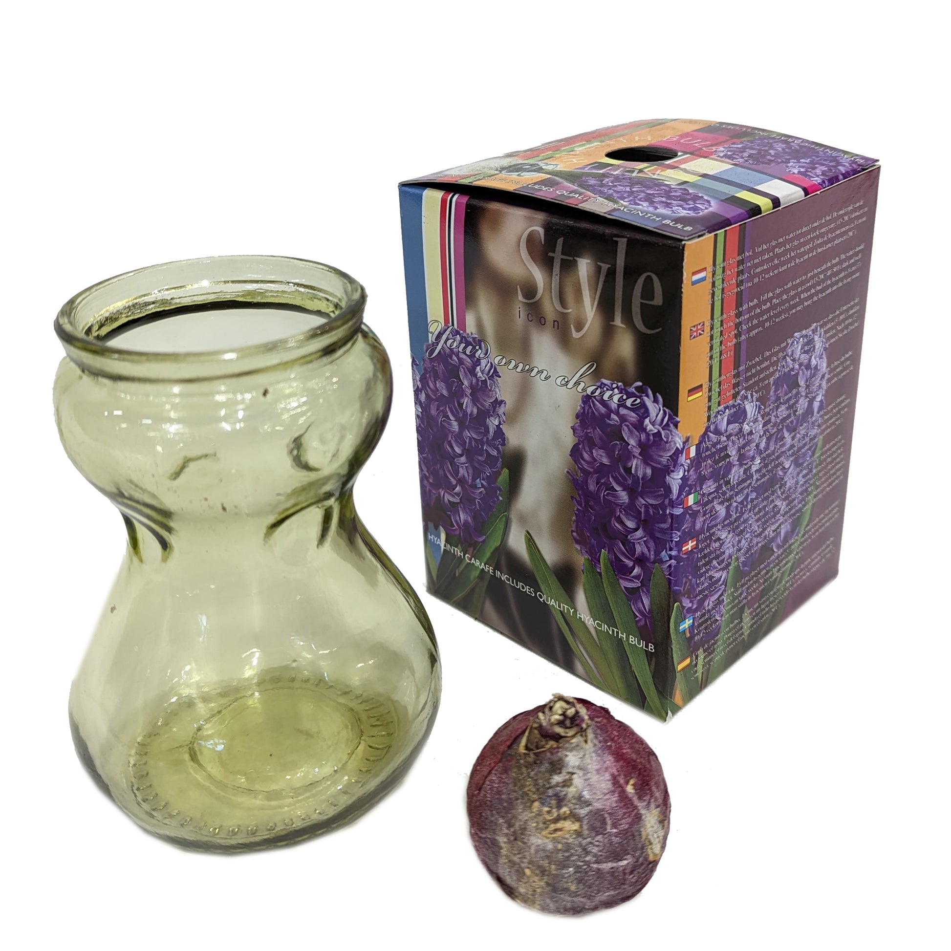Hyacinth Vase Giftbox