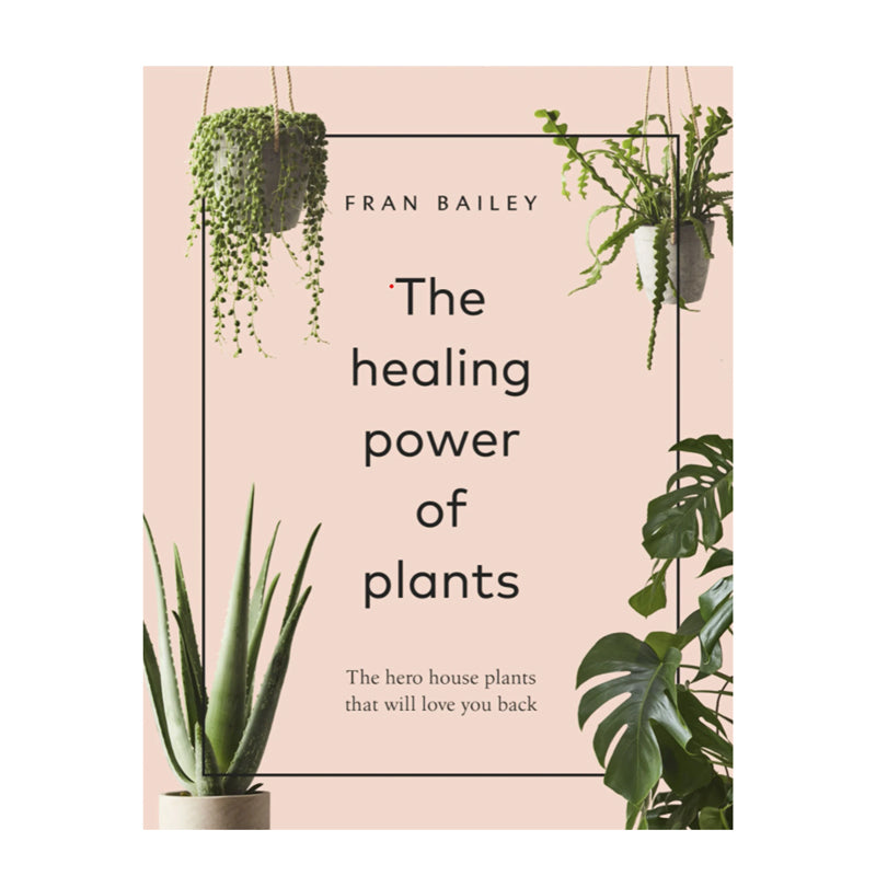 The Healing Power Of Plants By Fran Bailey