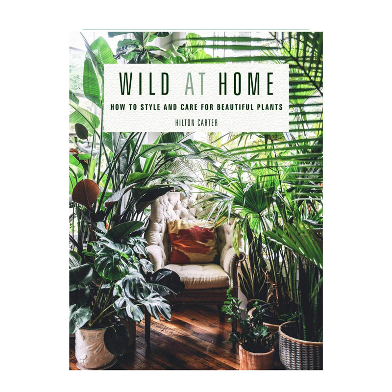 Wild At Home: How to Style and Care for Beautiful Plants by Hilton Carter