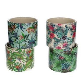 Amazone Plant Pot