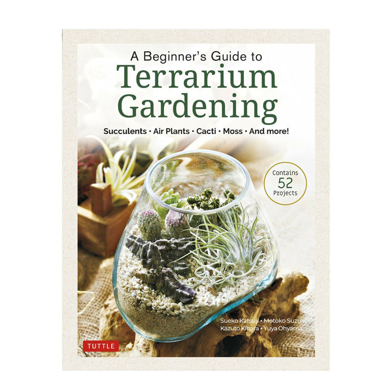 A Beginner's Guide to Terrarium Gardening, Succulents, Air Plants, Cacti, Moss and more!