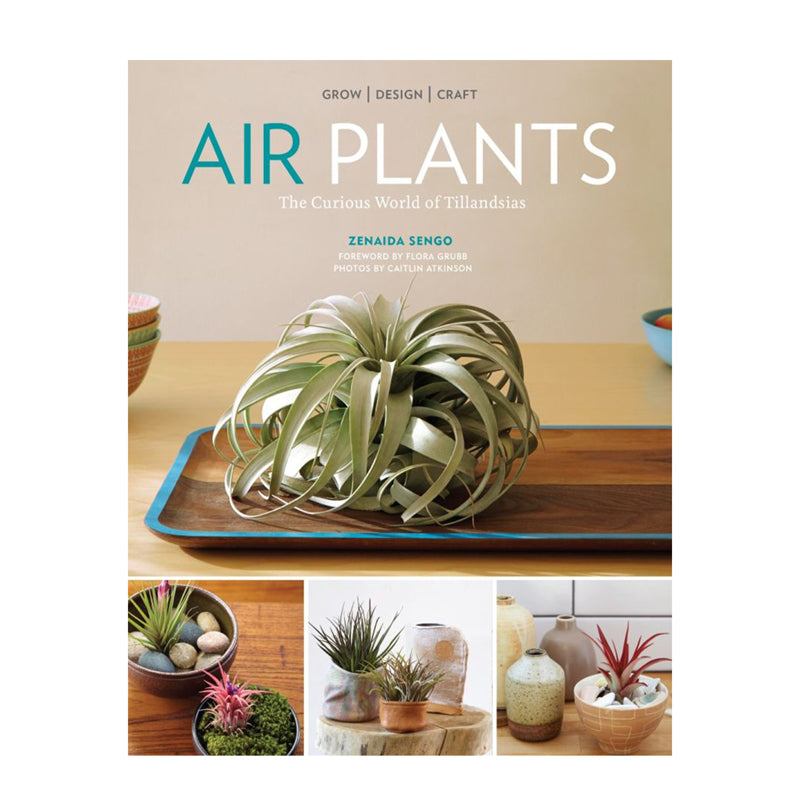 Air Plants: The Curious World of Tillandsias by Zenaida Sengo