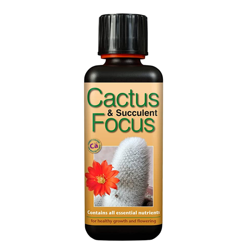 Cactus & Succulent Focus  - Plant Food