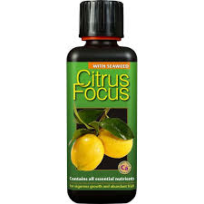 Citrus Focus 100ml  - Plant Food